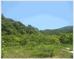  2025Ÿ��21422  ����