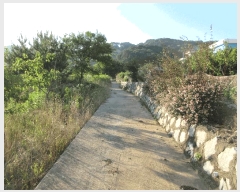  2025Ÿ��21430 �泲 ������ �Ͽ�� ������ 411      ����(��)���