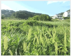  2025Ÿ��21430 �泲 ������ �Ͽ�� ������ 411      ����(��)���