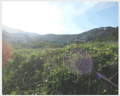  2025Ÿ��21430 �泲 ������ �Ͽ�� ������ 411      ����(��)���