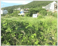  2025Ÿ��21430 �泲 ������ �Ͽ�� ������ 411      ����(��)���