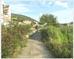  2025Ÿ��21430 �泲 ������ �Ͽ�� ������ 411      ����(��)���