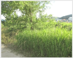  2025Ÿ��21430 �泲 ������ �Ͽ�� ������ 411      ����(��)���