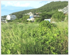  2025Ÿ��21430 �泲 ������ �Ͽ�� ������ 411      ����(��)���