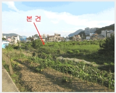  2025Ÿ��21430 �泲 ������ �Ͽ�� ������ 411      ����(��)���