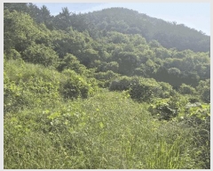  2025Ÿ��21445 �泲 ������ ������ ������ 823      ����(��)���