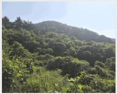  2025Ÿ��21445 �泲 ������ ������ ������ 823      ����(��)���