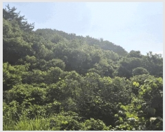  2025Ÿ��21445 �泲 ������ ������ ������ 823      ����(��)���