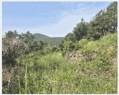  2025Ÿ��21445 �泲 ������ ������ ������ 823      ����(��)���