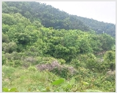  2025Ÿ��21445 �泲 ������ ������ ������ 823      ����(��)���