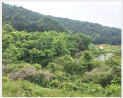  2025Ÿ��21445 �泲 ������ ������ ������ 823      ����(��)���