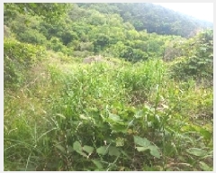  2025Ÿ��21445 �泲 ������ ������ ������ 823      ����(��)���