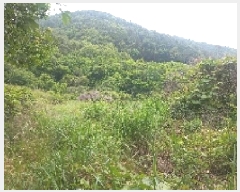  2025Ÿ��21445 �泲 ������ ������ ������ 823      ����(��)���