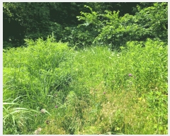  2025Ÿ��21486 �泲 ������ ������ 860       ����(��)���