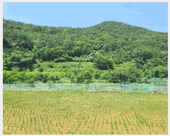  2025Ÿ��21486 �泲 ������ ������ 860       ����(��)���