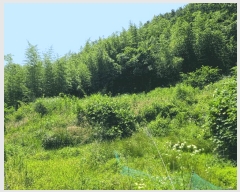  2025Ÿ��21486 �泲 ������ ������ 860       ����(��)���