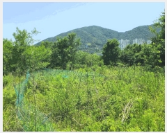  2025Ÿ��21486 �泲 ������ ������ 860       ����(��)���