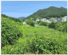  2025Ÿ��21486 �泲 ������ ������ 860       ����(��)���