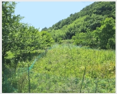  2025Ÿ��21486 �泲 ������ ������ 860       ����(��)���