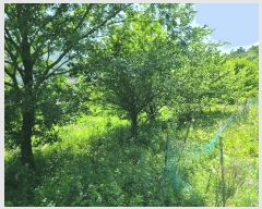  2025Ÿ��21486 �泲 ������ ������ 860       ����(��)���