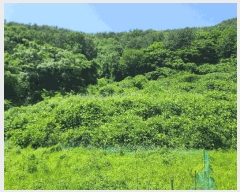  2025Ÿ��21486 �泲 ������ ������ 860       ����(��)���