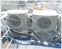  2025Ÿ21487 泲 뿵 ȣ 360       ڰ