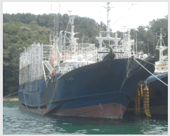  2025Ÿ21487 泲 뿵 ȣ 360       ڰ