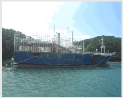  2025Ÿ21487 泲 뿵 ȣ 360       ڰ