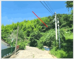  2025Ÿ��21551 �泲 ������ ���� ��� 366-20      ����(��1)���