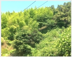  2025Ÿ��21551 �泲 ������ ���� ��� 366-20      ����(��1)���