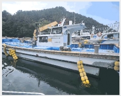  2025Ÿ��21569  ���ڰ��