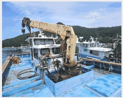  2025Ÿ��21569  ���ڰ��