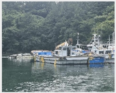  2025Ÿ��21569  ���ڰ��