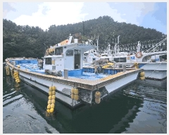  2025Ÿ��21569  ���ڰ��