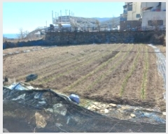  2025Ÿ275 泲  Ͽ ġ 307-2      ()