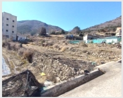  2025Ÿ275 泲  Ͽ ġ 307-2      ()