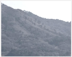  2025Ÿ401 泲  ظ ⸮ 191      (Ӿ)