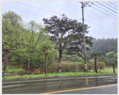  2025Ÿ401 泲  ظ ⸮ 191      (Ӿ)