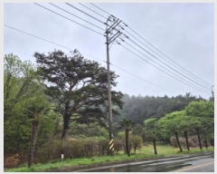  2025Ÿ401 泲  ظ ⸮ 191      (Ӿ)