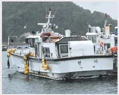  2025Ÿ��411  ���ڰ��