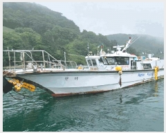  2025Ÿ��411  ���ڰ��