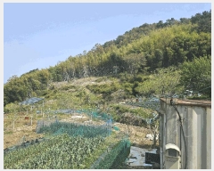  2025Ÿ��457 �泲 ������ ��û�� ��û�� 433      ����(��1)���