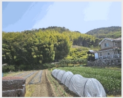  2025Ÿ��457 �泲 ������ ��û�� ��û�� 433      ����(��1)���