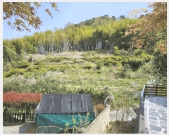  2025Ÿ��457 �泲 ������ ��û�� ��û�� 433      ����(��1)���