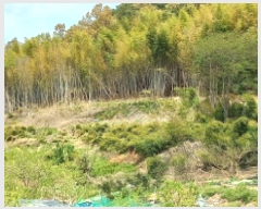  2025Ÿ��457 �泲 ������ ��û�� ��û�� 433      ����(��1)���