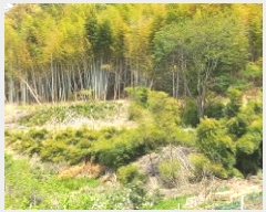  2025Ÿ��457 �泲 ������ ��û�� ��û�� 433      ����(��1)���