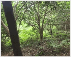  2025Ÿ��480 �泲 ������ ���θ� ������ 218      ����(��1)���