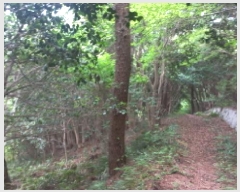  2025Ÿ��480 �泲 ������ ���θ� ������ 218      ����(��1)���