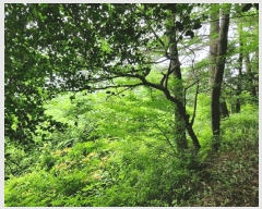  2025Ÿ��480 �泲 ������ ���θ� ������ 218      ����(��1)���