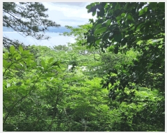  2025Ÿ��480 �泲 ������ ���θ� ������ 218      ����(��1)���